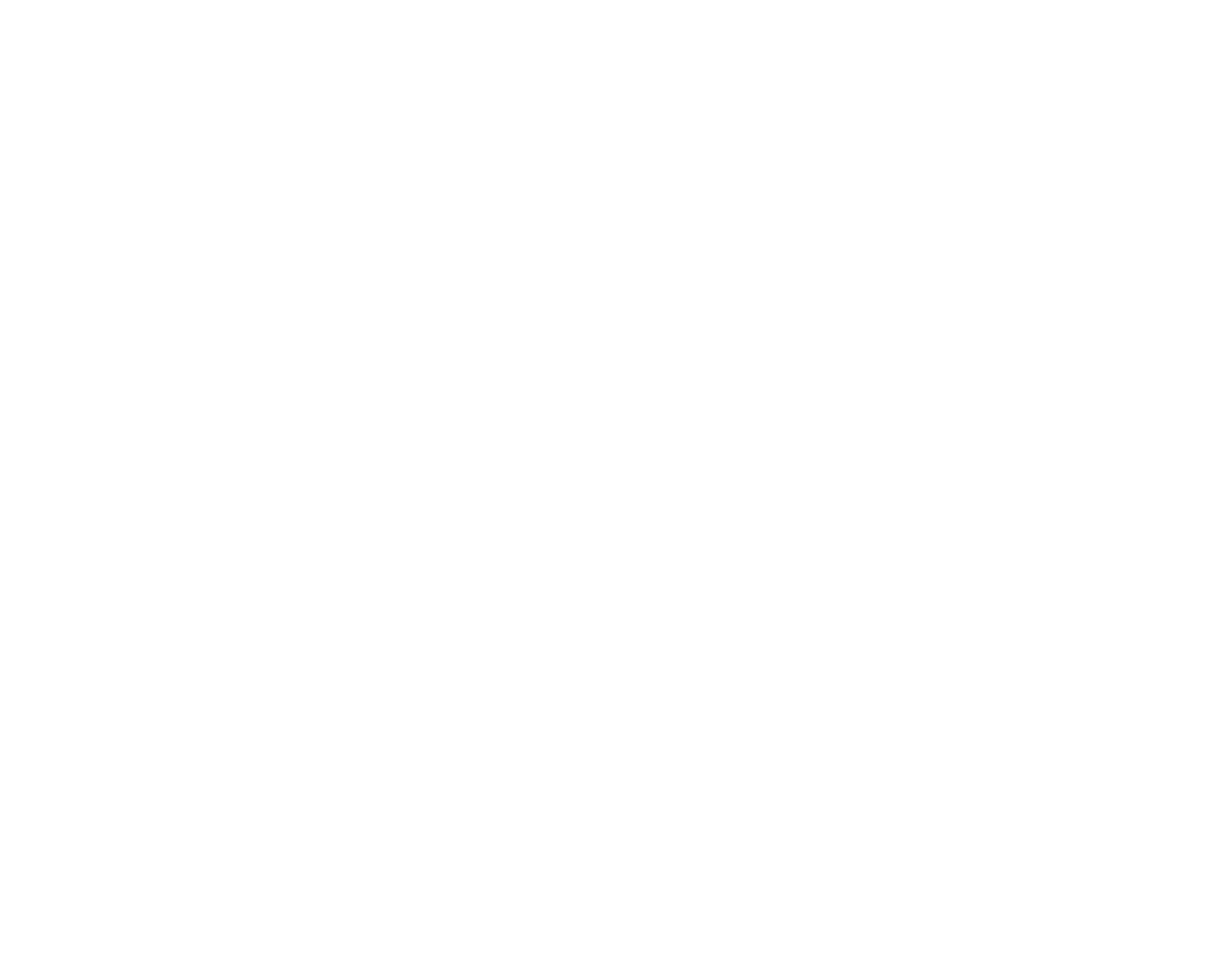 JV Internacional